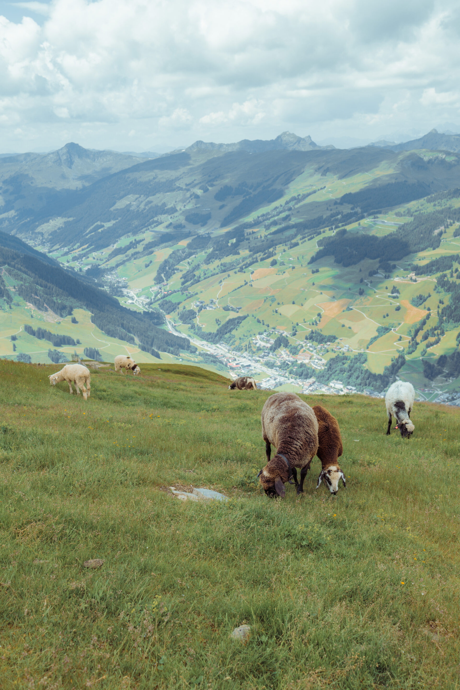 Saalbach Zomer 2024-5